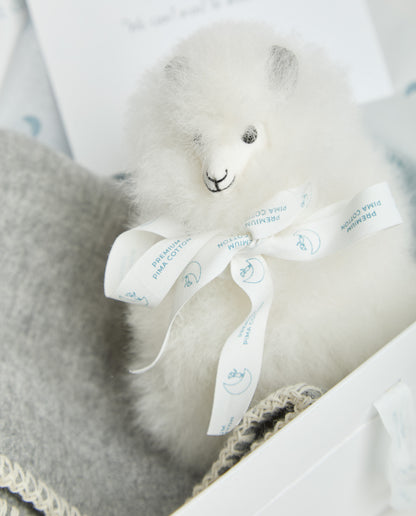 Pack Warmest Dreams Gris